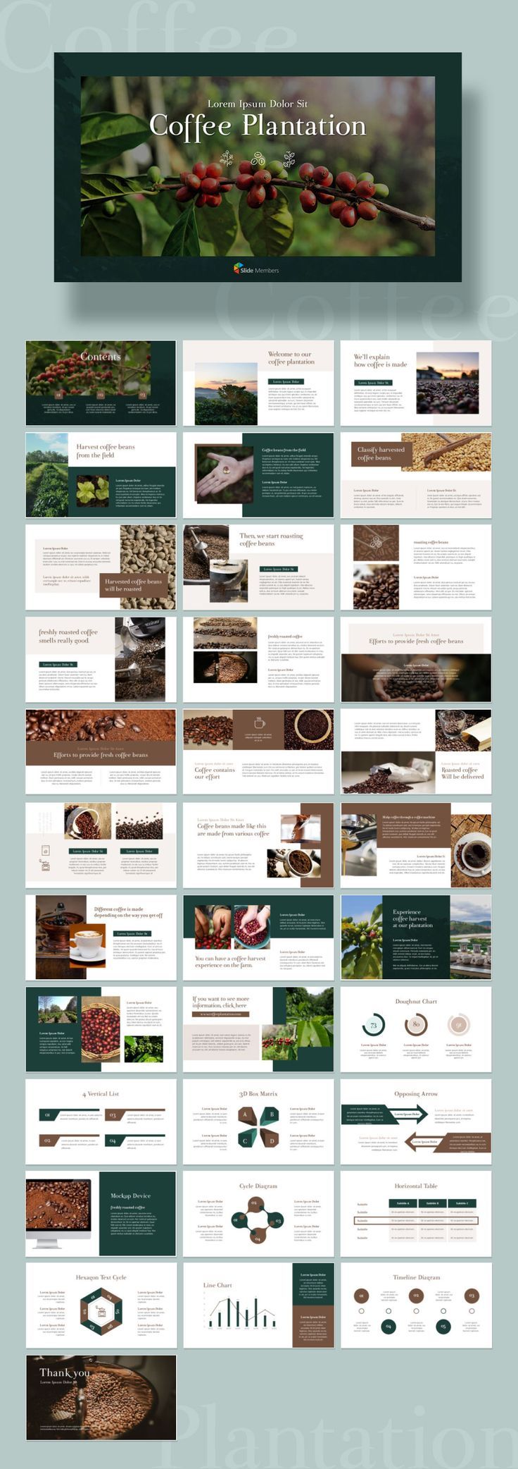 Coffee Plantation PPT PowerPoint Template Slide Members